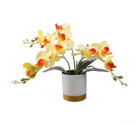 Bonsaï Phalaenopsis exquis pour décoration d'intérieur, arrangement d'orchidées artificielles réalistes pour n'importe quel espace (jaune)