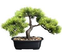 Bonsaï pin artificiel 23x30 cm dans une élégante coupe noire avec décoration de gravier
