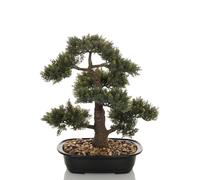 BONSAI - Plante artificielle Vert