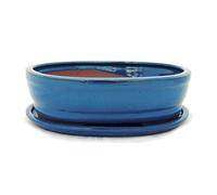 Bonsai pot avec soucoupes - 4 bleu taille o7 modèle ovale-longueur 26 cm-b 21 cm-hauteur : 7,5 cm
