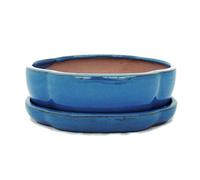 Bonsai pot avec soucoupes-bleu-taille 3/haitang modèle ovale-i5 l 17 cm-largeur : 14 cm-hauteur 5,5 cm