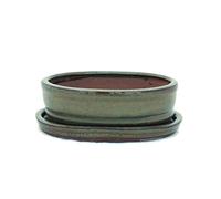 Bonsai pot avec soucoupes taille 2-brun-olive-modèle ovale-o7-15,5 cm-largeur : 12 cm-hauteur : 4,5 cm