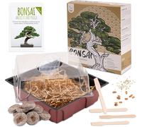Bonsai Starter Kit Avec Ebook Gratuit - Bonzai Set Avec Mini-Serre, Graines Et Terre - Idée Cadeau Durable Pour Les Amoureux Des Plantes (Graines: Olivier + Pin Australien)