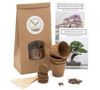 Bonsai Starter Kit - Bonzai set avec pots de noix de coco, graines et terre - idée de cadeau durable pour les amoureux des plantes (Glycine + Pin Australien)