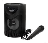 Bontempi Microphone Wireless With Speaker-50w