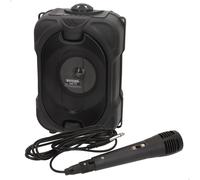 Bontempi Microphone Wireless With Speaker-80w