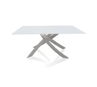 BONTEMPI table avec structure gris clair ARTISTICO 20.13 160x90 cm (Anti-rayures blanc opaque - Plateau en verre et structure en acier laqué [...]