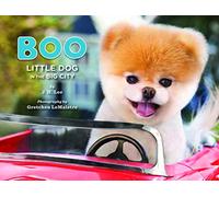 Boo: Little Dog in the Big City