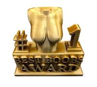 Boobs Award Statue | Trophy Award Cadeaux pour adultes | Décorations de fête en résine, décoration de bureau - Décoration de maison - Trophée en résine - Cadeaux pour adultes et femmes