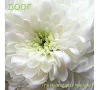Boof - Hydrangeas Whisper