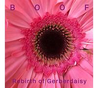 Boof - Rebirth of Gerberdaisy (Vinyl Coloured EDT.) [Import]