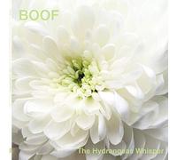 Boof - The Hydrangeas Whisper [Import]