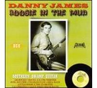 Boogie in Mud: Southern Swamp Guitar