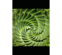 BOOK 2 - THE RISING KINGDOM: From the Last Vigil Series