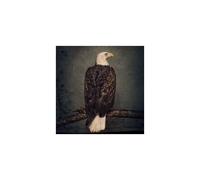 Clutch – Book of Bad Décisions – CD