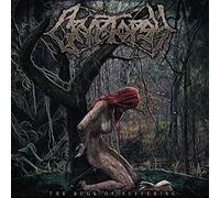 Book of Suffering [Import]