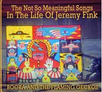 Booka and the Flaming Geckos - The Not So Meaningful Songs (Les chansons pas si significatives que ça)