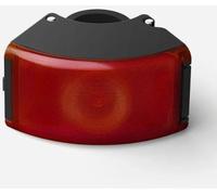 Bookman Curve Back Light - Noir