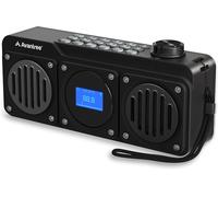 Boombyte Portable FM Radio with Bluetooth Speaker,Two Speakers (14W),High Volume,Stereo Sound,Micro SD Card Slot,USB Port,11H Rechargeable MP3 Player