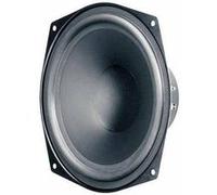 Boomer Visaton WS 20 E