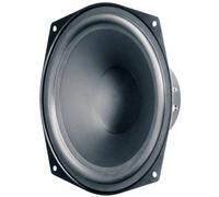 Visaton Boomer WS 20 E