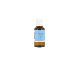 BoomTone DJ Fiole Menthe 20 ml, arôme. Flagrance pour liquide à fumée. Machine à fumée, machine à brouillard, parfum, odeur fraiche. Fumée odorante. Défilé de mode, théâtre, clubs.