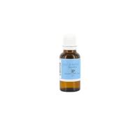 BoomToneDJ Fiole Menthe 20 ml Parfum pour liquide Machine à fumée/Brouillard