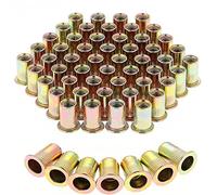 Booramy Lot de Ecrous de Rivet Insert M6 Filetage Métrique en Acier au Carbone Zingué (M6 × 100pcs)