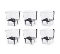 Booso Ensemble de Pots à Arrosage Automatique, Paquet 6 Pots à Arrosage Automatique de 5 Pouces pour Plantes D'Intérieur, Pot de Fleurs Transparent avec Profondeur pour Plante Araignée