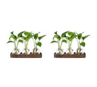Booso Lot de 2 stations de propagation de plantes en verre avec plateau en bois - Vase à fleurs rétro