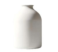 Booso Vase en Fer Forgé Mat Mat, Décoration de Maison de Haute Qualité pour Composition Florale, Pot de Fleurs Décoratif D'Hôtel B