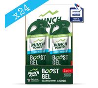BOOST GEL ? Effort Intense ? Goût Citron