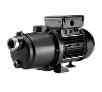 Surpresseur piscine BOOST RITE 1CV Triphasé