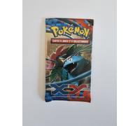 Booster 10 Cartes Pokemon XY De Base 2014 Neuf Scellé FR Florizarre