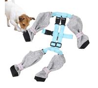 Boots Dog Boots Protecteurs - Chaussures de protecteurs de pattes de chien LEGGINGS | Bottes de neige pour chiens pour l'hiver, anti-flâneur pour chien extérieur marche de randonnée de randonnée de ra