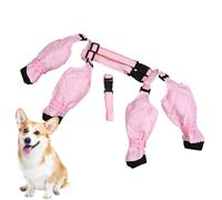 Boots Dog Boots Protecteurs - Chaussures de protecteurs de pattes de chien LEGGINGS | Bottes de neige pour chiens pour l'hiver, anti-flâneur pour chien extérieur marche de randonnée de randonnée de ra