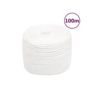 Boottouw 10 mm 100 m polypropyleen volwit152561