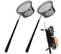 BORDEAG Épuisette de Pêche Télescopique, 2 Pièces, Filet Papillon Télescopique, Filet de Pêche Pliable en Acier Inoxydable, Extensible de 40.5 à 151.5 cm