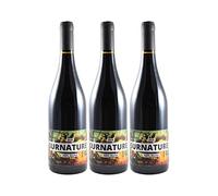 Bordeaux Surnaturel - 100% Merlot - SANS SULFITES - Rouge 2020 - Domaine Chibaou - Vin Rouge de Bordeaux (3x75cl) BIO