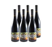 Bordeaux Surnaturel - 100% Merlot - SANS SULFITES - Rouge 2020 - Domaine Chibaou - Vin Rouge de Bordeaux (6x75cl) BIO