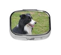 Border Collie 2, pilulier Meta à 2 compartiments, organiseur portable