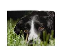 Border Collie Animaux Herbe Border Collie Noir, Puzzle 500 pièces pour Adultes - Puzzle en Bois pour Adultes et Personnes Âgées