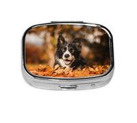 Border Collie Bokeh Autumn Black Border Collie, Meta Pilulier à 2 compartiments, organiseur portable
