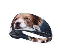 Border Collie Brun Bokeh Dieu aux Yeux Jaunes,Bandeau de Sport Unisexe, Bandeau élastique Multi-usages pour Cheveux