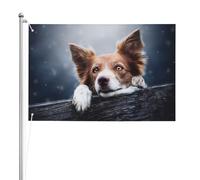 Border Collie brun Bokeh Dieu aux yeux jaunes,Drapeau de jardin, bannière décorative, drapeau double face, 2 x 3 pieds, pour extérieur et intérieur
