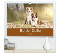 Border Collie - Bunt und clever! (hochwertiger Premium Wandkalender 2026 DIN A2 quer), Kunstdruck in Hochglanz: Border Collies - die bunten Hunde machen einfach Spaß!
