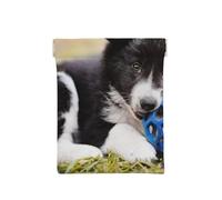 Border Collie Chiens Chiot Animaux Bordure Noire, Sac de Rangement pour Femmes, Portefeuille supérieur à Presser, Petit Porte-Monnaie, Pochette de Changement
