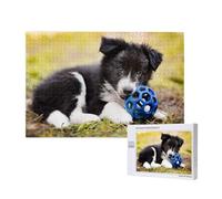 Border Collie Chiens Chiots Animaux de Compagnie Black Border,Puzzle Familial en Bois de 1 000 pièces pour Adultes et Adolescents, décoration d'intérieur