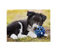 Border Collie, Chiots, Animaux de Compagnie, Bordure Noire, Puzzle de 500 pièces pour Adultes - Puzzle en Bois pour Adultes et Personnes âgées