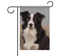 Border Collie Drapeau de jardin d'été double face 30,5 x 45,7 cm Drapeaux de jardin Printemps Soleil Drapeaux de jardin Décoration extérieure
